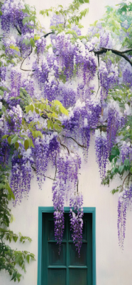 wisteria 9