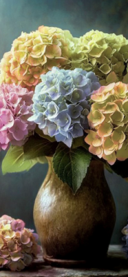 Pink Hydrangeas 11