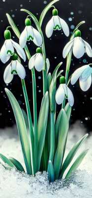 snowdrop 5